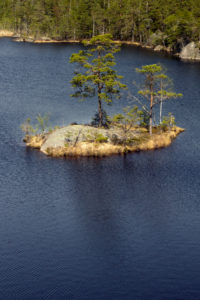 Tyresta By National Park close to Stockholm city Tyresta By National Park close to Stockholm city